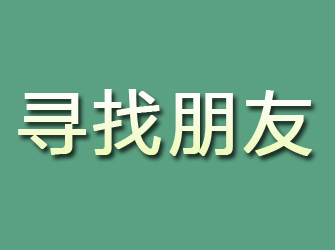 洛隆寻找朋友